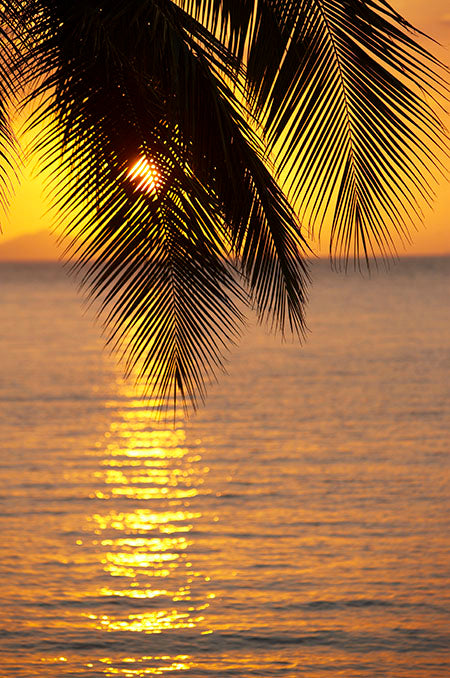 Fiji sunset over the ocean — Yalo Fiji's Own brand imagery